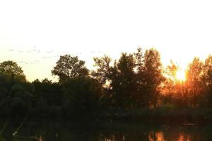 kudde van wild ganzen silhouet Aan een zonsondergang lucht foto