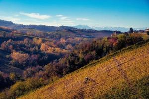 landschappen van de piemontese langhe de wijngaarden de levendig kleuren van herfst in de buurt alba foto