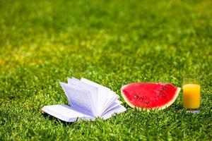 rood rijp plak watermeloen en glas van oranje sap Aan groen gras foto