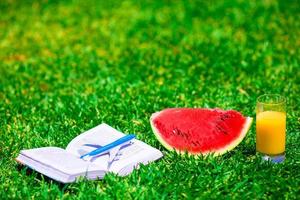 rood rijp plak watermeloen, glas van oranje sap, boek en vliegtuig model- Aan groen gras foto