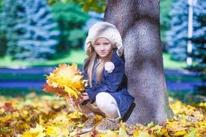 schattig weinig meisje Bij warm zonnig herfst dag buitenshuis foto