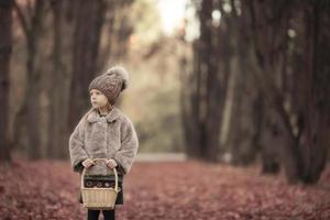 aanbiddelijk weinig meisje met een mand buitenshuis Bij mooi herfst park foto