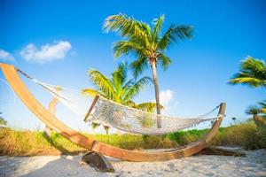 romantisch hangmat in de schaduw van palm Aan tropisch strand foto