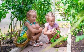 schattig weinig meisjes verzamelen Bijsnijden komkommers in de kas foto