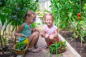 schattig weinig meisjes verzamelen Bijsnijden komkommers in de kas foto