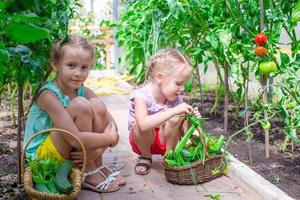 schattig weinig meisjes verzamelen Bijsnijden komkommers in de kas foto