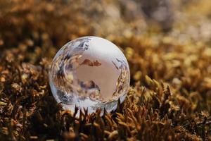 bol glas op gras met zonneschijn. milieu concept foto