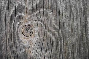 dichtbij omhoog van hout structuur met natuurlijk vezels, bord materiaal voor bouw foto