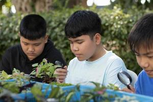 groep van jong Aziatisch jongen houdt vergroten glas en ingemaakt planten en op zoek door de lens naar studie fabriek soorten en Doen project werk, buitenshuis klas aan het leren concept, zacht en selectief focus. foto