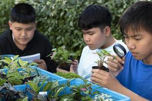 groep van jong Aziatisch jongen houdt vergroten glas en ingemaakt planten en op zoek door de lens naar studie fabriek soorten en Doen project werk, buitenshuis klas aan het leren concept, zacht en selectief focus. foto