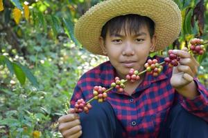 portret jong Aziatisch jongen houdt bundel van koffie kers fruit in de midden- van koffie tuin naar studie buiten de klas. foto