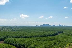 hoog hoek visie van de kronkelend mangrove Woud foto