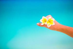 mooi frangipani bloemen achtergrond turkoois zee Aan wit strand foto