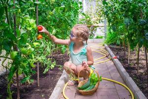 klein meisje verzamelen van komkommers en tomaten in kas foto