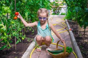 klein meisje verzamelen van komkommers en tomaten in kas foto