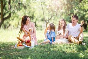 gelukkige familie op een picknick in het park op een zonnige dag foto