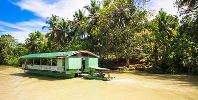 exotisch reis boot met toeristen Aan een oerwoud rivier- lobok, bohol foto