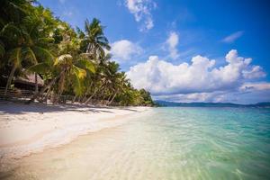 onbewoond eiland met palmboom op het strand foto