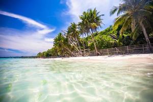 tropisch perfect strand met groen handpalmen, wit zand en turkoois water foto