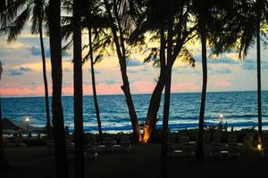 blauw roze en rood zonsondergang over- zee strand met palmboom silhouet foto