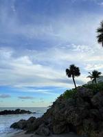 mooi kokosnoot palm boom met verbazingwekkend levendig lucht foto