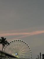 ferris wiel in de park Bij de downtown Miami Bij zonsondergang foto