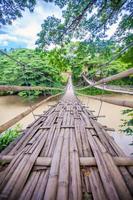 scharnierend brug over- de rivier- lobo in bohol, Filippijnen foto