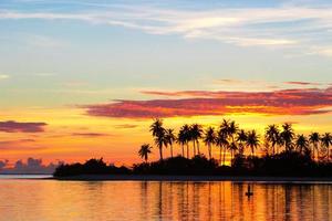 donker silhouetten van palm bomen en verbazingwekkend bewolkt lucht Aan zonsondergang Bij tropisch eiland in Indisch oceaan foto