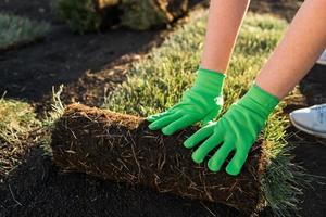 dichtbij omhoog vrouw houdende zode voor nieuw tuin gazon - grasmat houdende concept foto