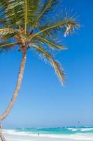 perfect tropisch strand met turkoois water en wit zand stranden in tulum, Mexico foto