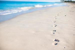 menselijk voetafdrukken Aan wit zand van de caraïben eiland foto