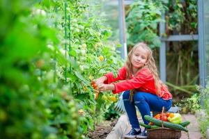 aanbiddelijk weinig meisje oogsten komkommers en tomaten in serre. portret van kind met rood tomaat in handen. foto