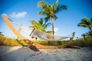 romantisch hangmat in de schaduw van palm Aan tropisch strand foto