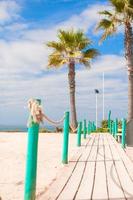 houten steiger Aan manier naar de zee van palm bomen Bij wit strand foto