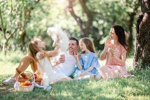 gelukkige familie op een picknick in het park op een zonnige dag foto