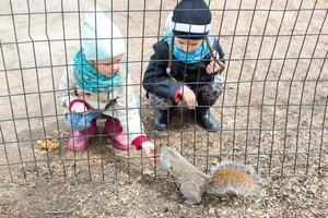weinig meisjes feeds een eekhoorn in centraal park, nieuw york, Amerika foto