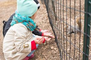 weinig meisjes feeds een eekhoorn in centraal park, nieuw york, Amerika foto