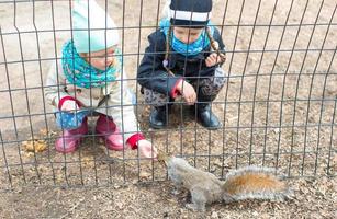 weinig meisjes feeds een eekhoorn in centraal park, nieuw york, Amerika foto