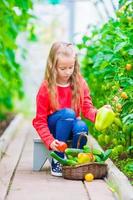 aanbiddelijk weinig meisje oogsten komkommers en tomaten in serre. portret van kind met rood tomaat in handen. foto