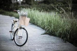 fiets geparkeerd op straat in het park foto