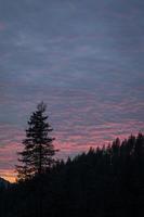 silhouet van een heuvel en een boom bij zonsondergang foto