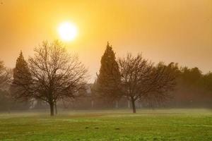 mistig veld bij zonsondergang foto