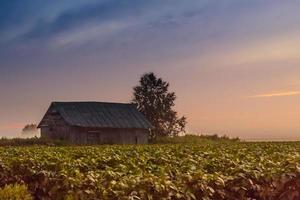 houten huis op het platteland foto