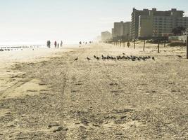 daytona beach, florida, winter, 2016 - een ochtend op het strand foto