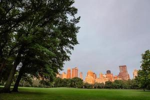 new york city central park foto