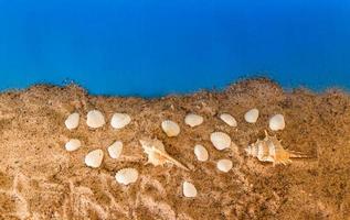 minimalistische achtergrond vertegenwoordigen de zomer met slakken mosselen stofbril en zand Aan hemel- foto