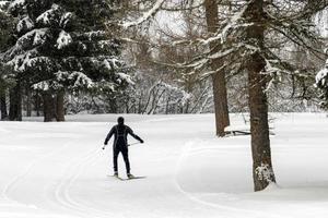 kruis land skiën in Alpen foto