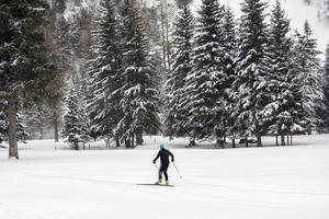 kruis land skiën in Alpen foto