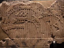 Egyptische hiërogliefen kalksteen 6 dynastie foto