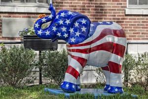 Amerikaans vlag olifant foto